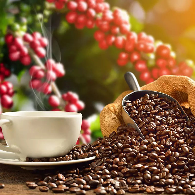 kawa i herbata etykiety i opakowania produktowe